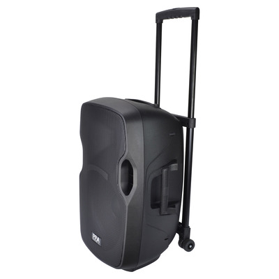 Portable Speaker 12": Battery, Bluetooth, Wireless Mic - Perform PA