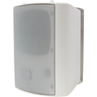 100 Volt Background Speaker (Pair) - 5.25" White