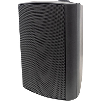 100 Volt Background Speaker (Pair) - 4" Black