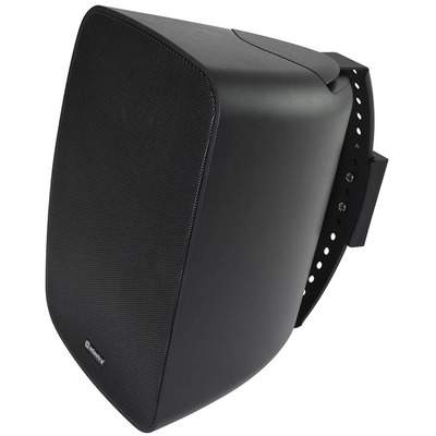 100V Weatherproof Background Speaker - 6.5"