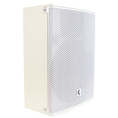 Full Range Passive Speaker Cabinet 10" White 300W